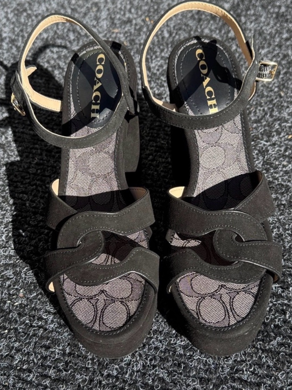 Coach Talina Suede Black Platform Sandals